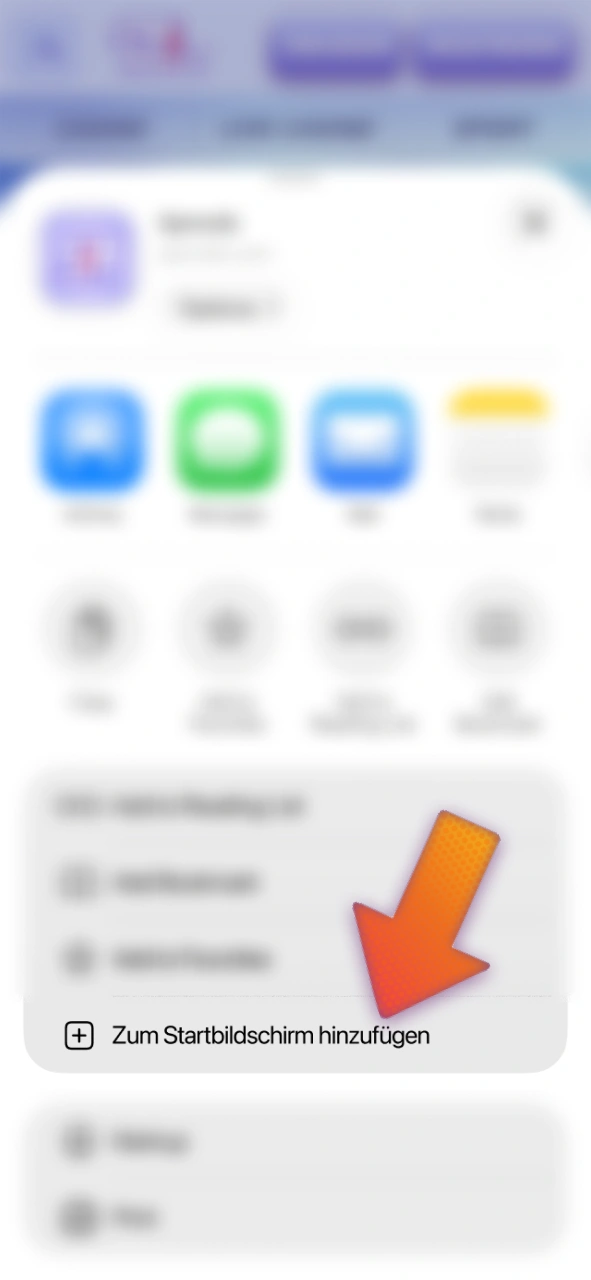 Wählen Sie die Option Zum Home-Bildschirm auf Ihrem iPhone für Spinrollz.